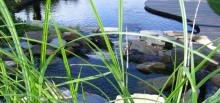 Baignade naturelle de 30m² - Vue de la lagune