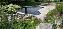 Baignade naturelle de 30m² - Terrasse dans skimmer naturel